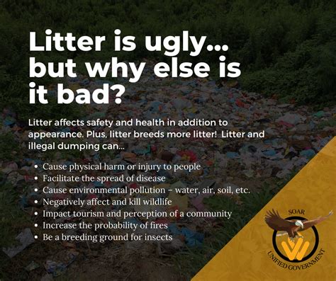 Litter And Illegal Dumping Unified Government Of Wyandotte County And