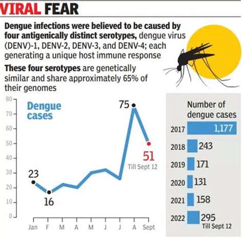 1 Dengue Strain Prevalent Experts Caution Against Mosquito Breeding