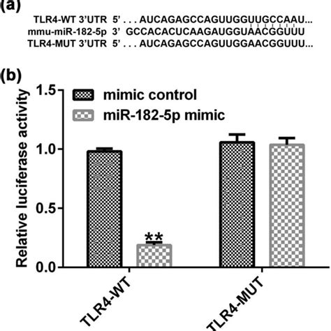 Tlr4 Is A Target Gene Of Mir 182 5p A Prediction Of Mir 182 5p