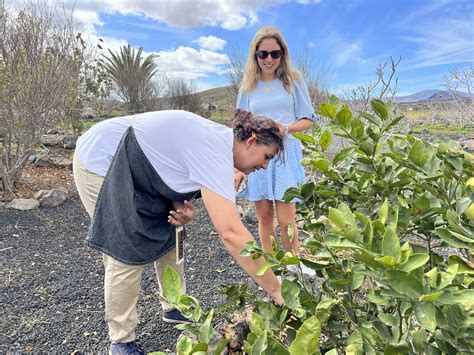 Biofarm Verdeaurora in Fuerteventura - Canary Green Sustainable Tourism