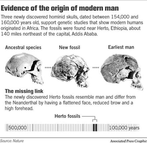 Fossils Of 160 000 Year Old Skulls Fill Gap In Human Evolution Record