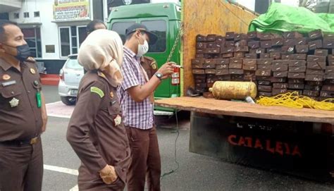 Gakkum Klhk Ringkus Pelaku Ilegal Logging Lintas Provinsi Jejak Hitam