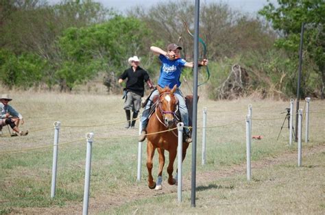 Archery on horseback | Archery country, Horse archery, Mounted archery