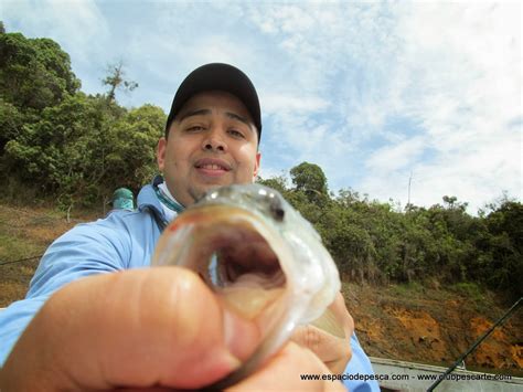 Espacio de Pesca Pesca de Tilapia y Black Bass en Guatape El Peñol