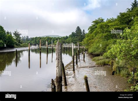 Low Tide Reveals The Netul River Riverbanks At Lewis And Clark National