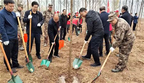 漯河市开展2019年冬季全民义务植树活动 河南广播网