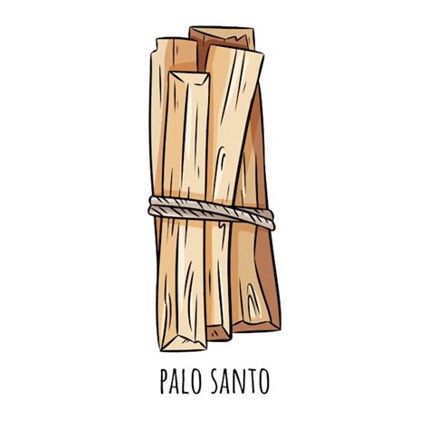 Premium Vector Palo Santo Holy Wood Tree Aroma Sticks From Latin America