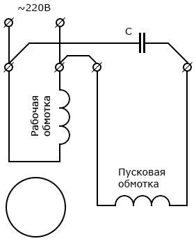 Пусковая и рабочая обмотки электродвигателя