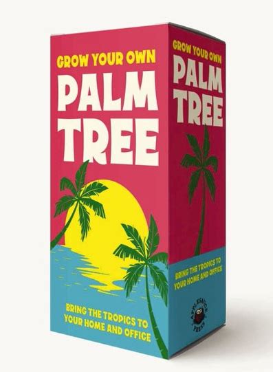 Grow Your Own Palm Tree Kit Belle A Shop For Girls