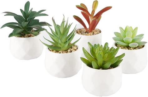 Garselay Piezas De Plantas Artificiales Mini Macetas Plantas