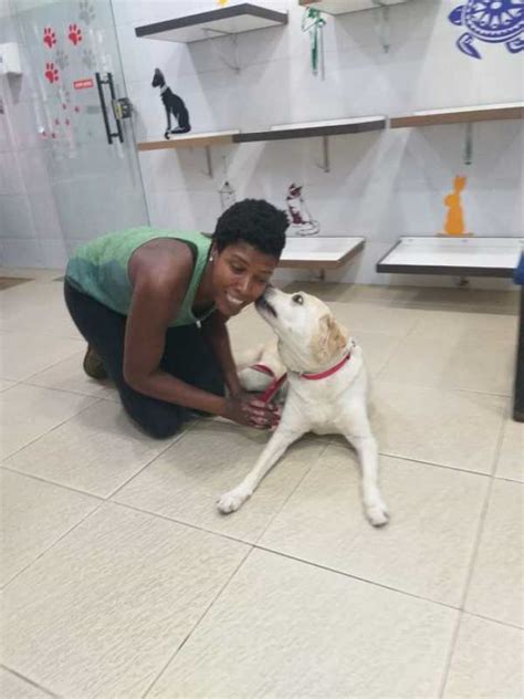 Exame de Raio X em Cachorro Centro de Apoio e Diagnóstico Veterinário