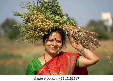 Happy Young Indian Woman Field Farmer Stock Photo 2320267195 | Shutterstock