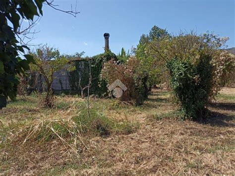 Terreno Agricolo Via Cutrufelli Gaggi Rif 107422235 Immobiliare It