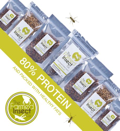 The Farmed Insect Company Launches Edible Insect Cricket Protein Powder