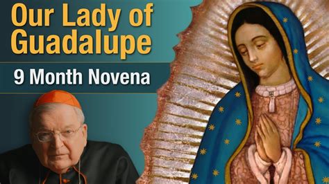 Cardinal Burke Novena To Our Lady Of Guadalupe 9 Month Novena Prayer