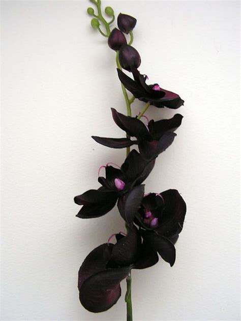 Large Real Touch Red Black Orchid - http://www.withycombefair.co.uk ...