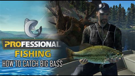 How to Catch Big BASS Fish: Professional Fishing Game – Bass Manager ...