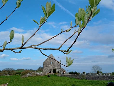 Green Waste Solutions updated... - Green Waste Solutions