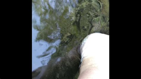 Always Wanted One Of Those Japanese Fish Pedicures Part Two Youtube