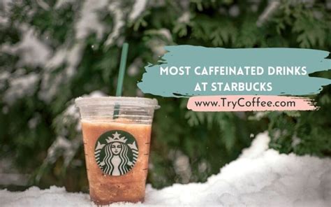 Most Caffeinated Drinks At Starbucks From The Survey Try Coffee