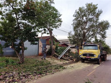 Secretaria Municipal De Meio Ambiente Atende A Pedidos Para Podas Em