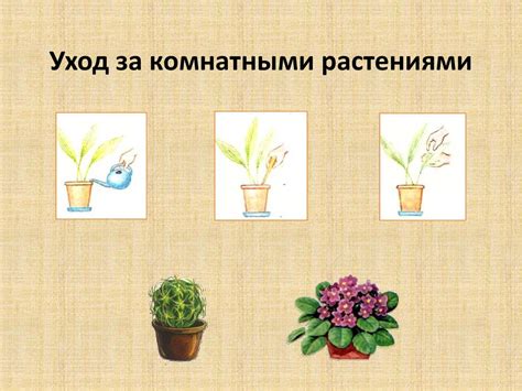 Уход за комнатными растениями - online presentation