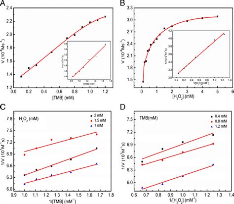 A B Steady State Kinetic Analysis By Michaelismenten Model And