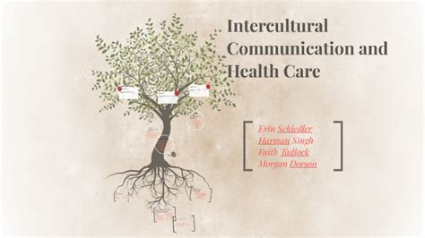 Intercultural Communication And Health Care By Erin Schiedler