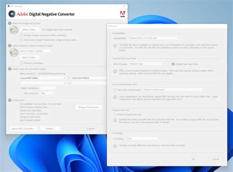 DNG File: What a .dng Image Is and How to Open It | PetaPixel