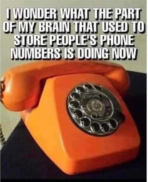 Memes W Linky Gay Nyc Dad