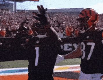 Chase Td CHASE TD Discover Share GIFs