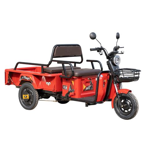 Electric Cargo Tricycle Shenyang Sy110 New Energy Three Wheel Trike