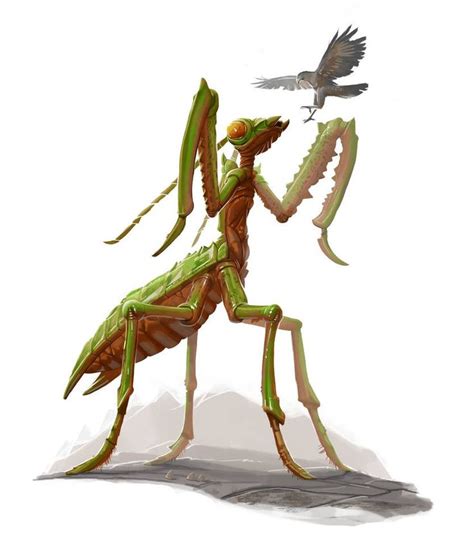 Giant Praying Mantis For Legendary Games By Michaeljaecks On Deviantart