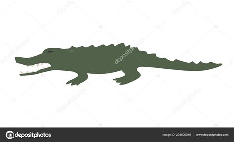 Funny green alligator. Flat vector illustration. Isolated on white ...