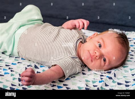 Five Week Old New Born Baby Boy Stock Photo Alamy