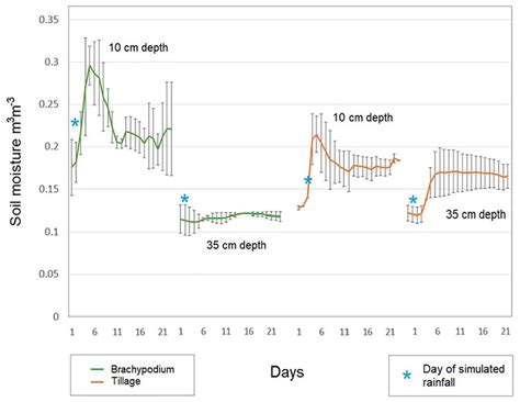 Evolution Of Volumetric Soil Moisture At 10 And 35 Cm Depth In