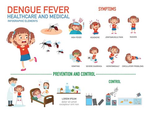 Ilustraci N De Vector De Infograf A De Fiebre Del Dengue Vector