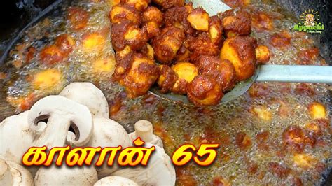 Chettinad Special Mushroom 65 Mushroom Fry Recipe Mushroom Recipe