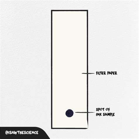 Activity Corner Chromatography Isawthescience