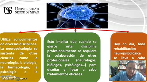 Campos De AcciÓn Objetivos De La NeuropsicologÍa Youtube