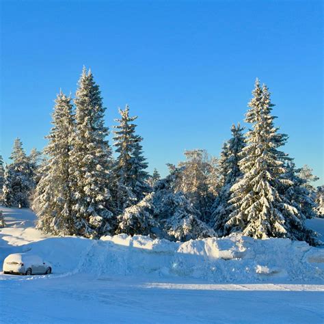 Winter at Hovfjället The mountain Hovfjället is a nature r Hans