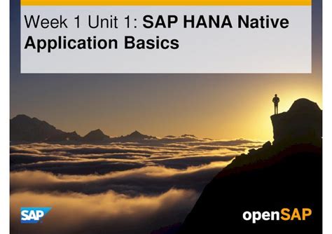 PDF OpenSAP HANA1 1 Week 01 Developing Applications For SAP HANA