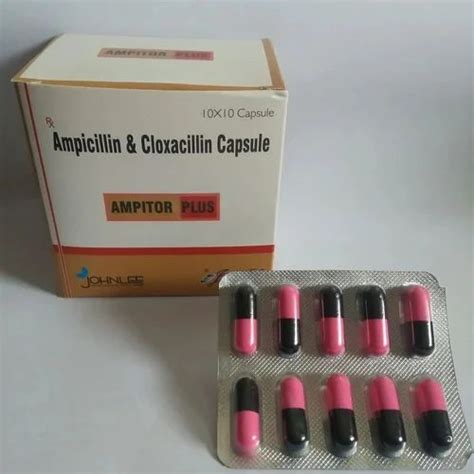 Ampicillin Mg Capsules At Rs Stripe Ampicillin Capsules In