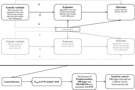 Frontiers Genetic Causality And Site Specific Relationship Between