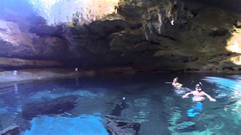 Devils Den In Williston Florida View Of The Sinkhole Cavern Youtube