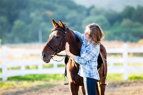 Brown Horse Names: Ideas to Get Creative | LoveToKnow Pets