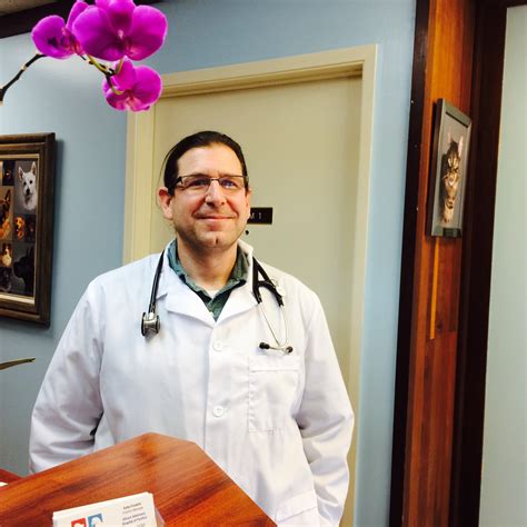 Veterinarian and Animal Hospital in Pacifica, CA - Allcare Veterinary