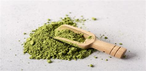 5 Best Moringa Powder Brands In India In 2024