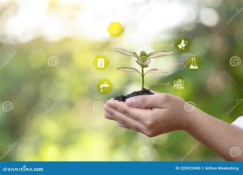 Tree Growth Essential Factors Icon on Farmer Hands Stock Photo - Image ...