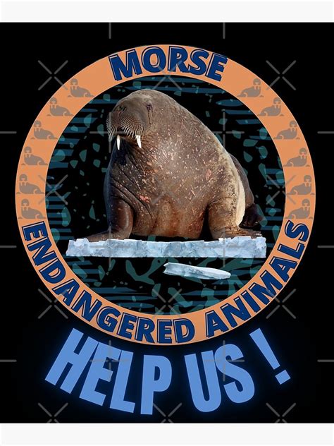 Poster Animaux Marins En Voie De Disparition Morse Par Yassooarts